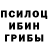 Псилоцибиновые грибы MAGIC MUSHROOMS Vera Reisch