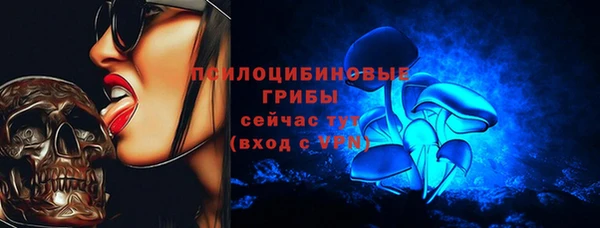 молекула духа Володарск