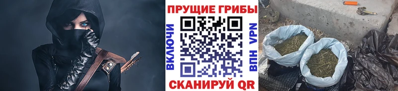 кракен как войти  Снежинск  Псилоцибиновые грибы Psilocybe 